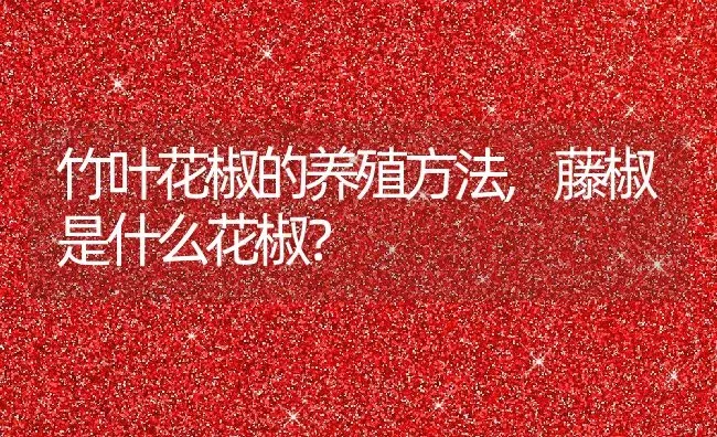 竹叶花椒的养殖方法,藤椒是什么花椒？ | 养殖常见问题