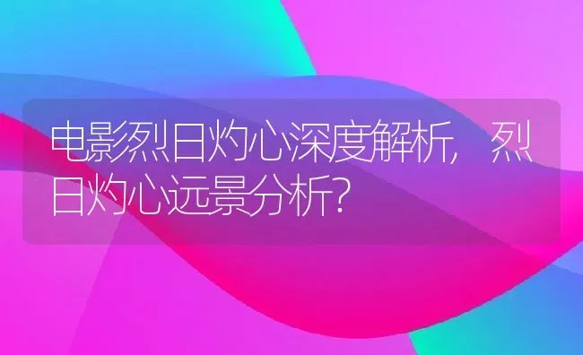 电影烈日灼心深度解析,烈日灼心远景分析？ | 养殖常见问题