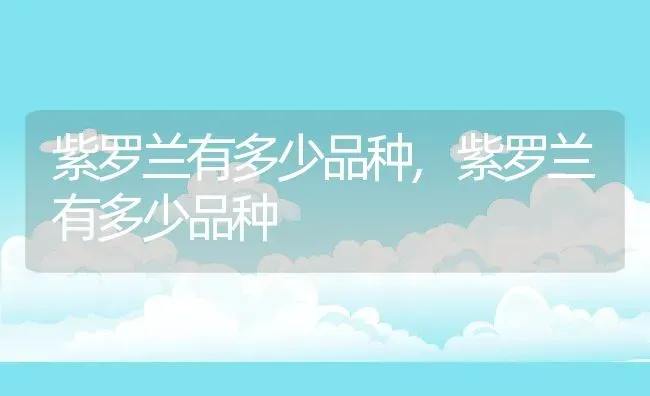 紫罗兰有多少品种,紫罗兰有多少品种 | 养殖常见问题