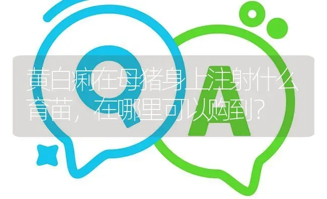黄白痢在母猪身上注射什么育苗,在哪里可以购到? | 养殖问题解答
