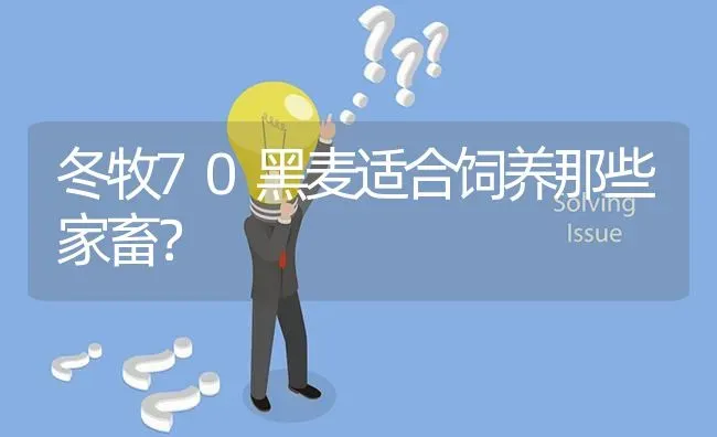 冬牧70黑麦适合饲养那些家畜? | 养殖问题解答