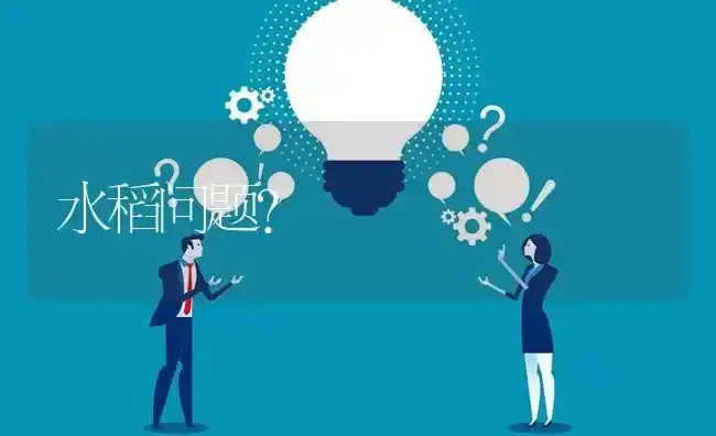 水稻问题? | 养殖问题解答