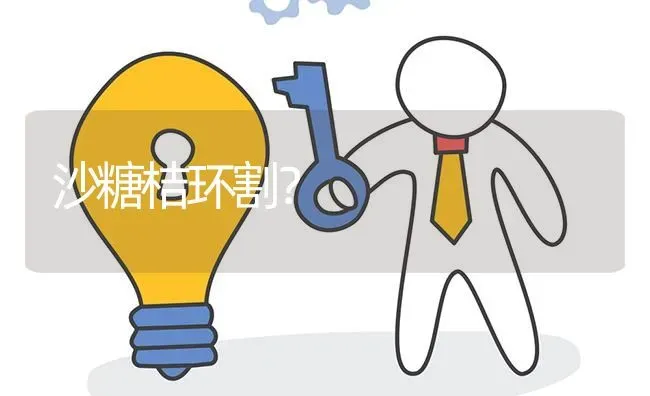 沙糖桔环割? | 养殖问题解答