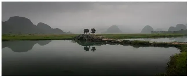 鱼浮头一定是缺氧吗 | 生活常识