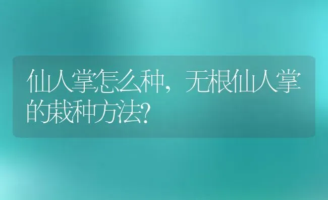 仙人掌怎么种,无根仙人掌的栽种方法？ | 养殖常见问题