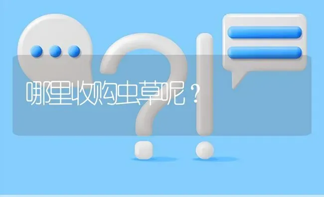 哪里收购虫草呢? | 养殖问题解答