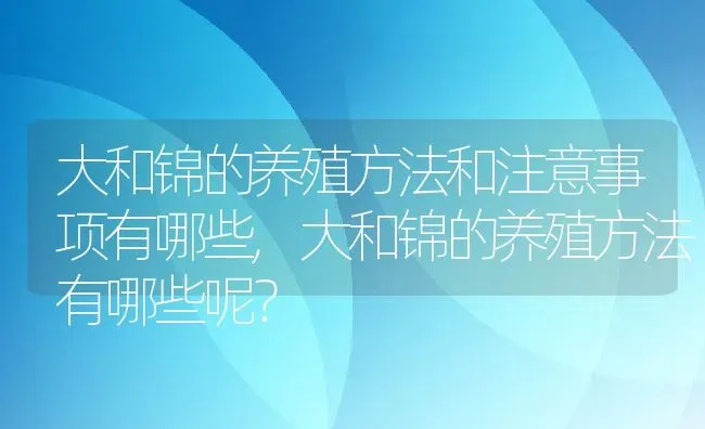 大和锦的养殖方法和注意事项有哪些,大和锦的养殖方法有哪些呢？ | 养殖常见问题