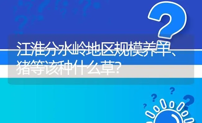 江淮分水岭地区规模养羊、猪等该种什么草? | 养殖问题解答