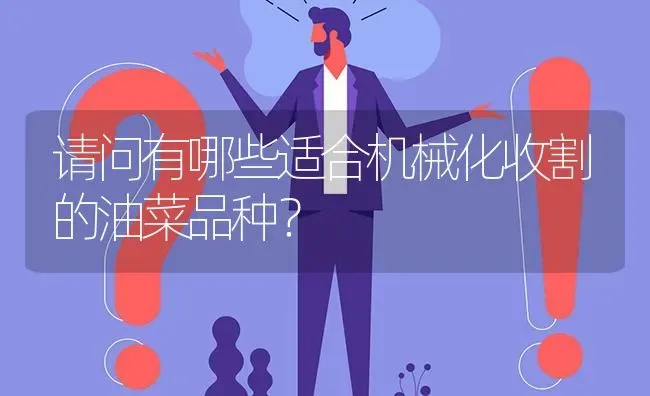 请问有哪些适合机械化收割的油菜品种? | 养殖问题解答