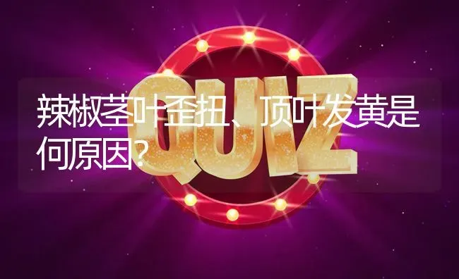 辣椒茎叶歪扭、顶叶发黄是何原因? | 养殖问题解答