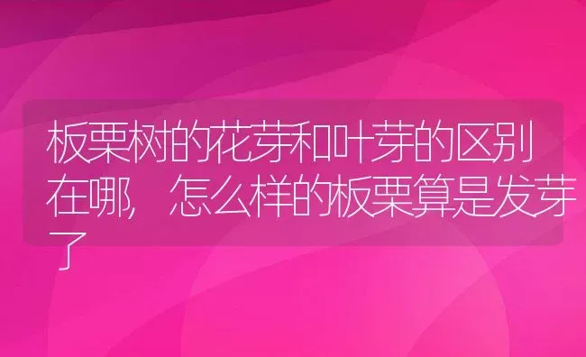 板栗树的花芽和叶芽的区别在哪,怎么样的板栗算是发芽了 | 养殖常见问题