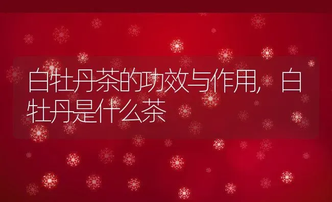 金鱼花的养殖方法和注意事项有哪些,黄金鱼花怎么栽培？ | 养殖常见问题