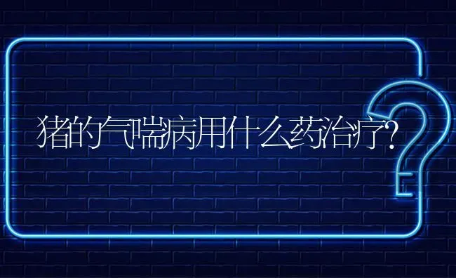 猪的气喘病用什么药治疗? | 养殖问题解答