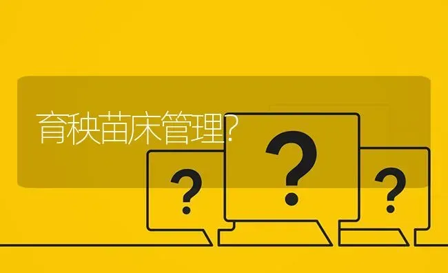 育秧苗床管理? | 养殖问题解答