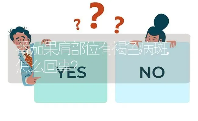 番茄果肩部位有褐色病斑,怎么回事? | 养殖问题解答