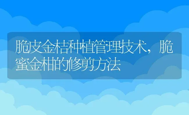 脆皮金桔种植管理技术,脆蜜金柑的修剪方法 | 养殖常见问题