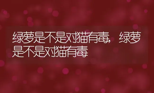 绿萝是不是对猫有毒,绿萝是不是对猫有毒 | 养殖常见问题