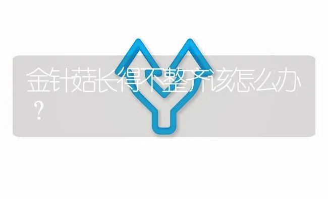 金针菇长得不整齐该怎么办? | 养殖问题解答