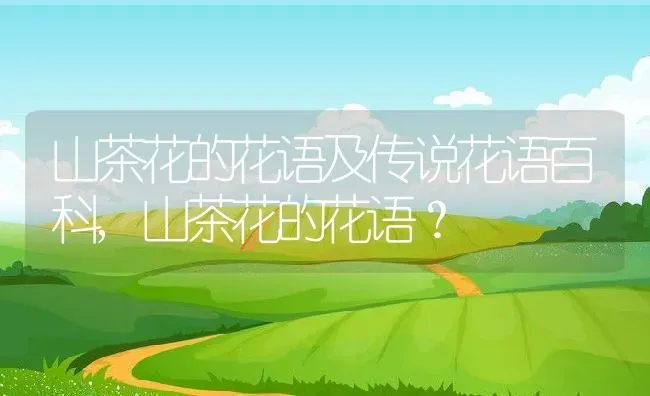 山茶花的花语及传说花语百科,山茶花的花语？ | 养殖常见问题