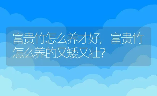 富贵竹怎么养才好,富贵竹怎么养的又矮又壮？ | 养殖常见问题