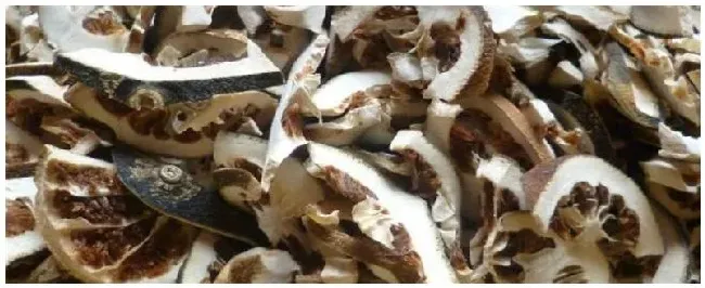 枳壳品种哪个产量高 | 三农答疑