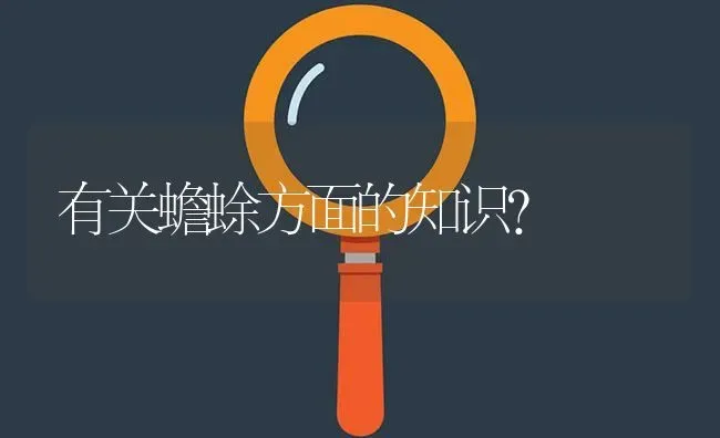 有关蟾蜍方面的知识? | 养殖问题解答