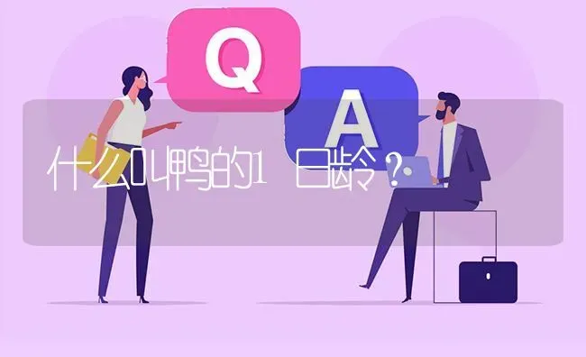 什么叫鸭的1日龄? | 养殖问题解答