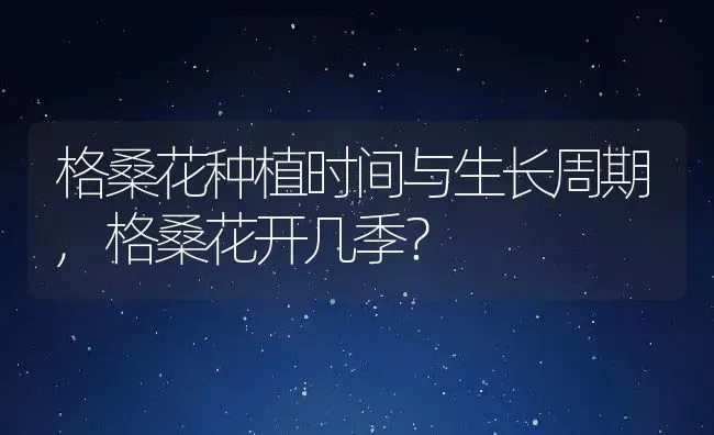 格桑花种植时间与生长周期,格桑花开几季？ | 养殖常见问题