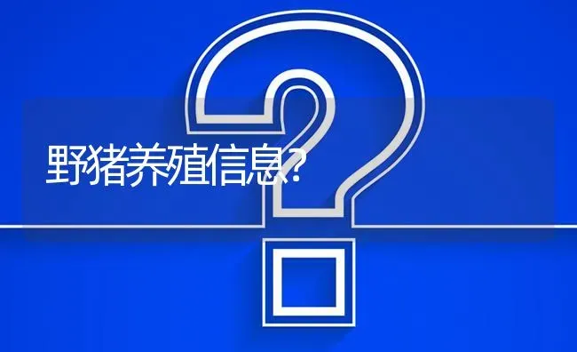 野猪养殖信息? | 养殖问题解答