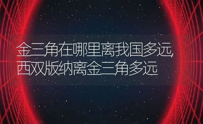 金三角在哪里离我国多远,西双版纳离金三角多远 | 养殖常见问题