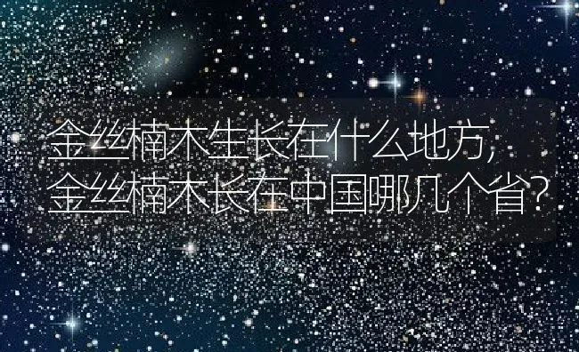 金丝楠木生长在什么地方,金丝楠木长在中国哪几个省？ | 养殖常见问题