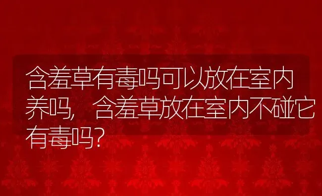 含羞草有毒吗可以放在室内养吗,含羞草放在室内不碰它有毒吗？ | 养殖常见问题