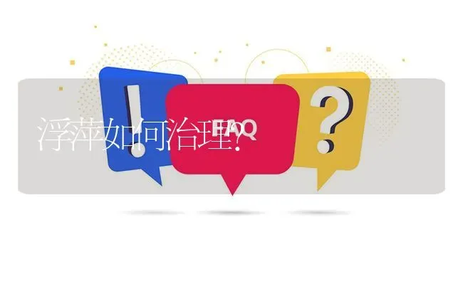 浮萍如何治理? | 养殖问题解答