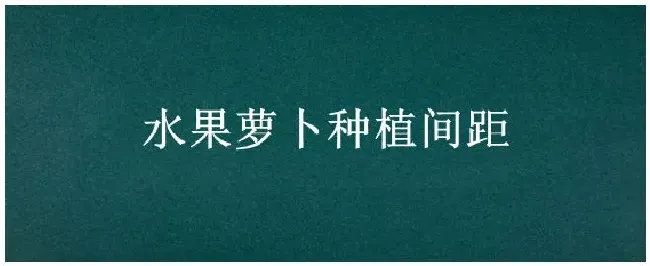 水果萝卜种植间距 | 三农答疑
