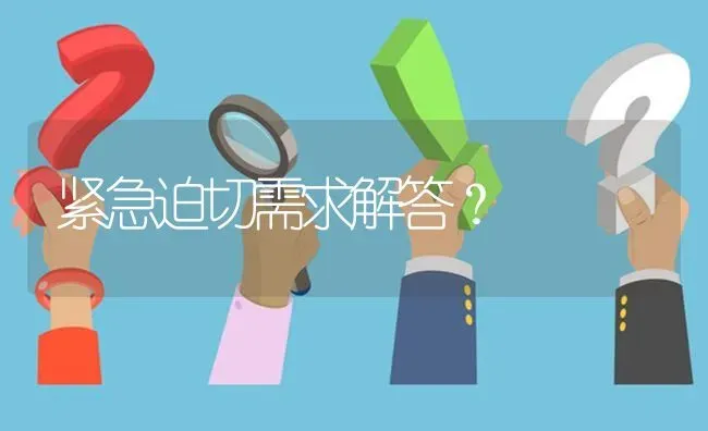 紧急迫切需求解答? | 养殖问题解答