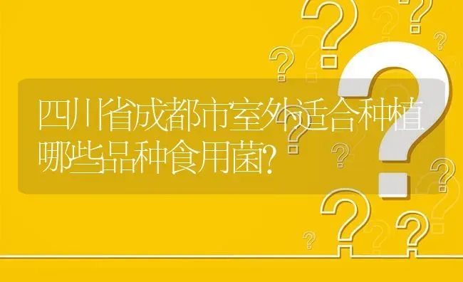 四川省成都市室外适合种植哪些品种食用菌? | 养殖问题解答