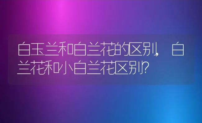 白玉兰和白兰花的区别,白兰花和小白兰花区别？ | 养殖常见问题