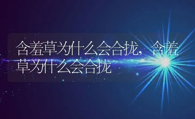 含羞草为什么会合拢,含羞草为什么会合拢 | 养殖常见问题