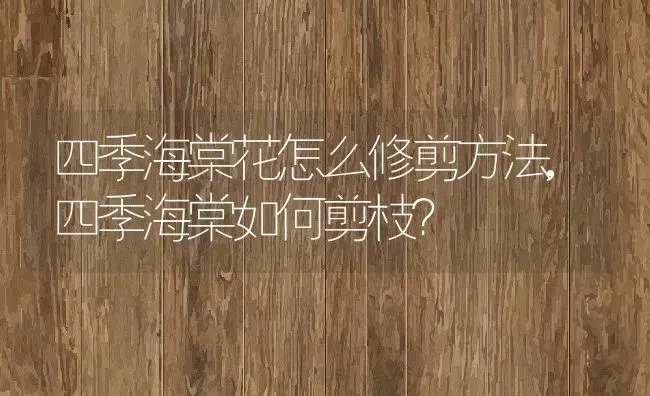 四季海棠花怎么修剪方法,四季海棠如何剪枝？ | 养殖常见问题