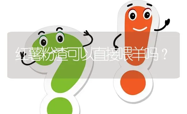 红薯粉渣可以直接喂羊吗? | 养殖问题解答