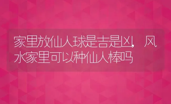 家里放仙人球是吉是凶,风水家里可以种仙人棒吗 | 养殖常见问题