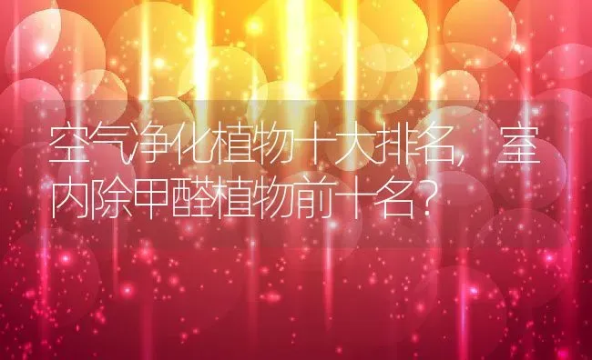 空气净化植物十大排名,室内除甲醛植物前十名？ | 养殖常见问题