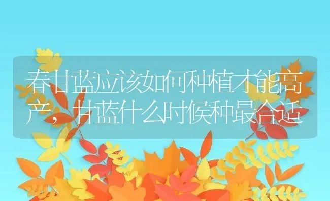 春甘蓝应该如何种植才能高产,甘蓝什么时候种最合适 | 养殖常见问题