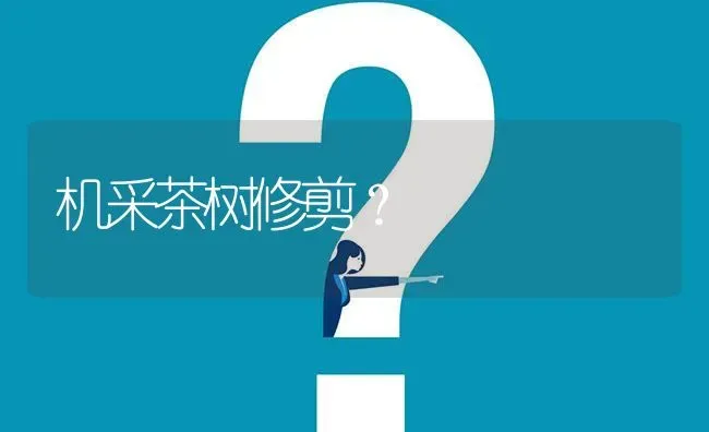 机采茶树修剪? | 养殖问题解答
