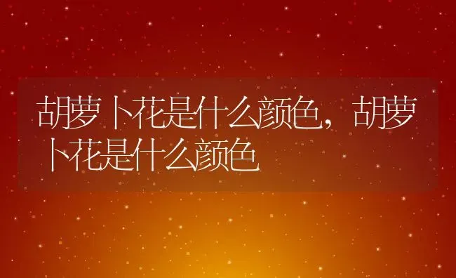 胡萝卜花是什么颜色,胡萝卜花是什么颜色 | 养殖常见问题