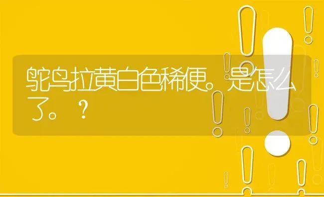 鸵鸟拉黄白色稀便。是怎么了。? | 养殖问题解答