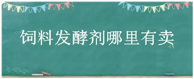 饲料发酵剂哪里有卖 | 三农答疑