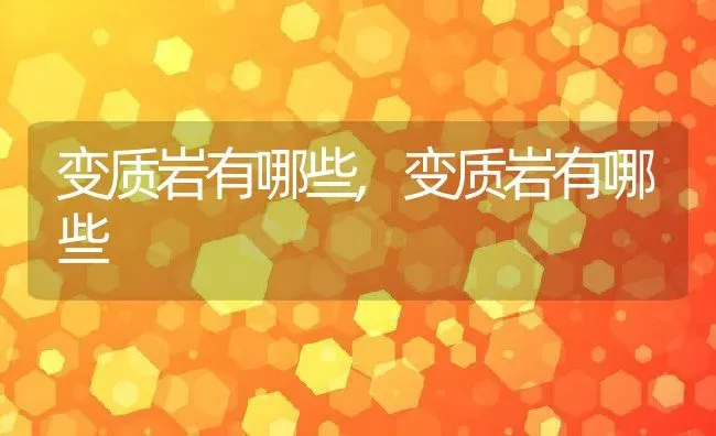 变质岩有哪些,变质岩有哪些 | 养殖常见问题