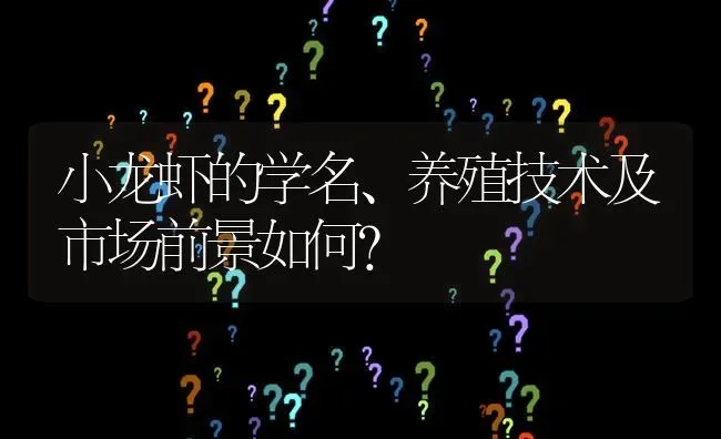 小龙虾的学名、养殖技术及市场前景如何? | 养殖问题解答