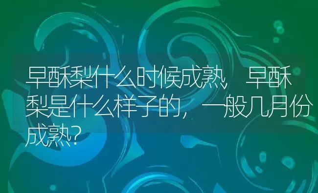 早酥梨什么时候成熟,早酥梨是什么样子的，一般几月份成熟？ | 养殖常见问题